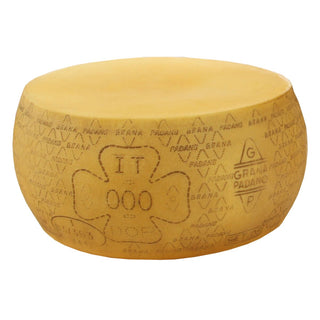 Cheese Dummy Replica Grana Padano Boska 360055